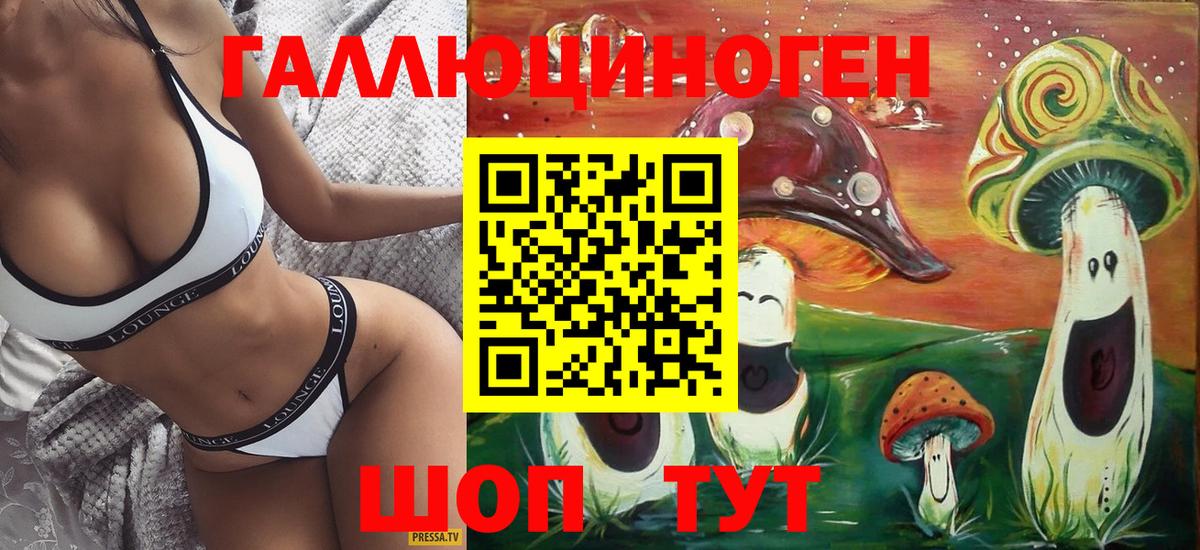 Кольчугино  Псилоцибиновые грибы Cubensis  Вход с VPN 